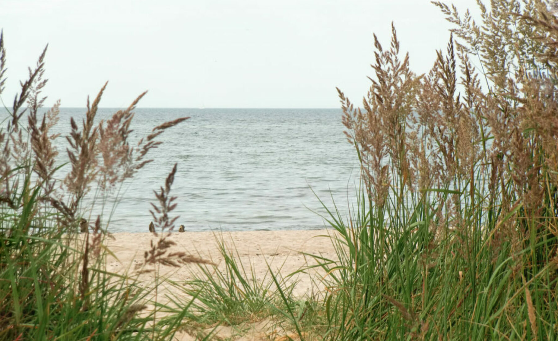 Strand Kühlungsborn